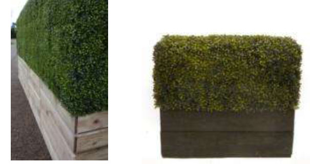 artificial boxwood hegding in trough.jpg